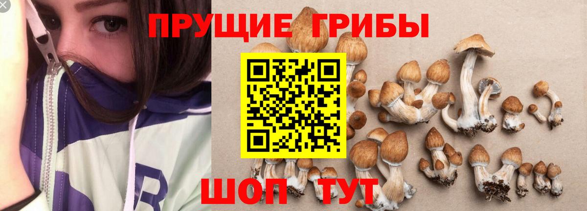 Галлюциногенные грибы ЛСД  где купить   Вышний Волочёк  Вход с VPN  Псилоцибиновые грибы Cubensis 