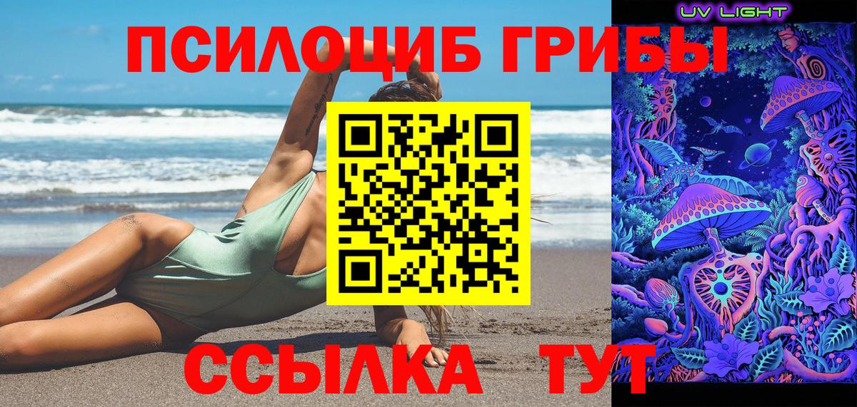 Псилоцибиновые грибы Psilocybine cubensis Вышний Волочёк